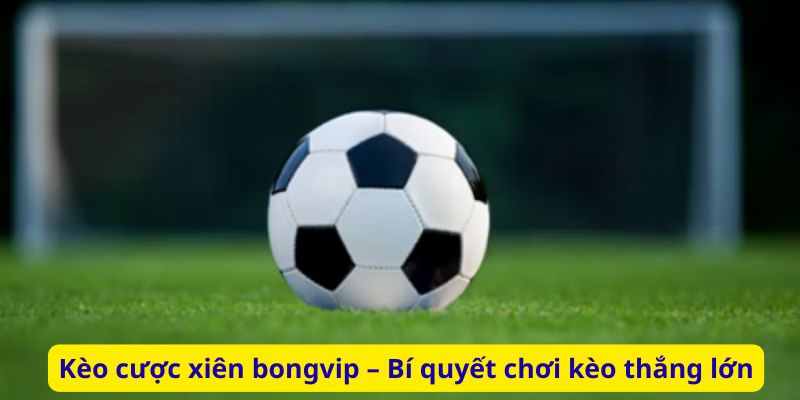Kèo cược xiên bongvip – Bí quyết chơi kèo thắng lớn