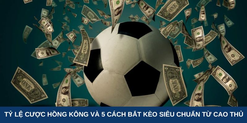 Khám phá tỷ lệ cược Hồng Kông và 5 cách bắt kèo chuẩn được cao thủ chia sẻ. Bongvip hướng dẫn chi tiết giúp bạn nâng cao khả năng thắng cược hiệu quả.